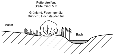 Bayerischer Wald