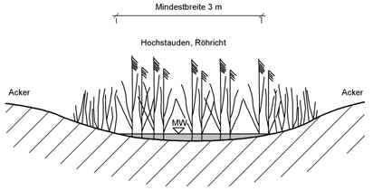 Bayerischer Wald