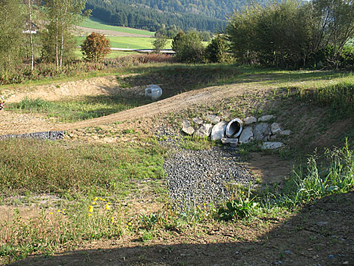 Bayerischer Wald