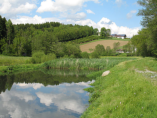 Bayerischer Wald