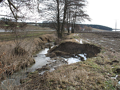 Bayerischer Wald