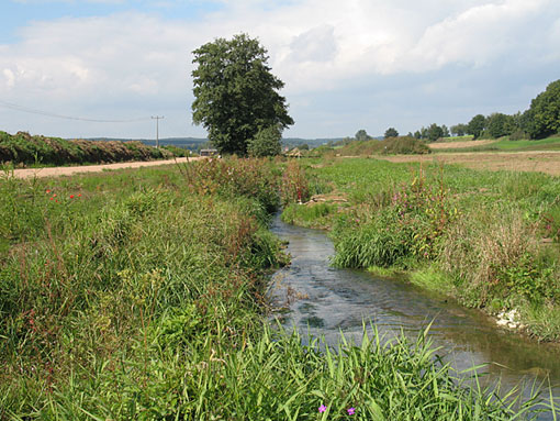 Bayerischer Wald